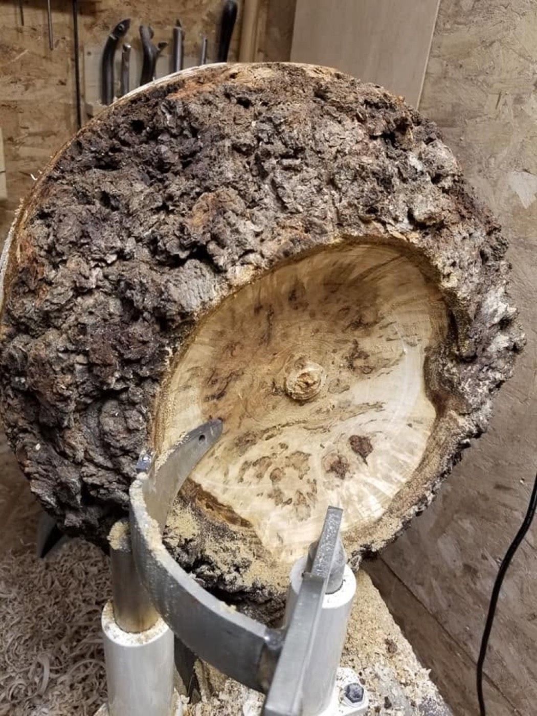 A rough burl being hollowed out on the lathe